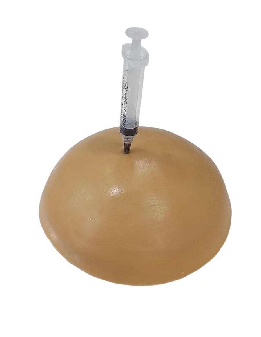 Injection Teaching Model - Hemisphere – Doctorshop